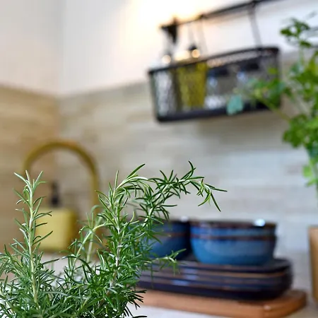 Apartamento Ivana *